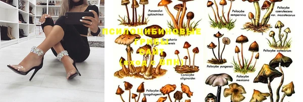 бошки Нефтекумск